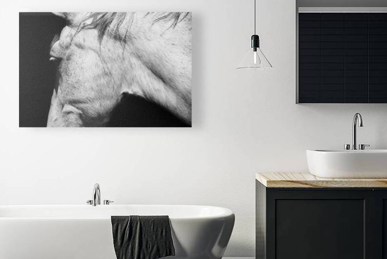 Casper | Horse Portrait Abstract by Wildhood