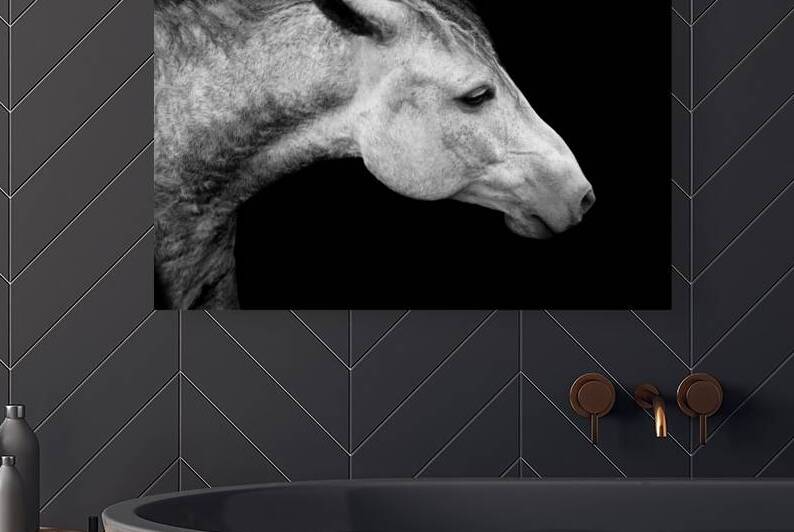 Horse Photography by Wildhood