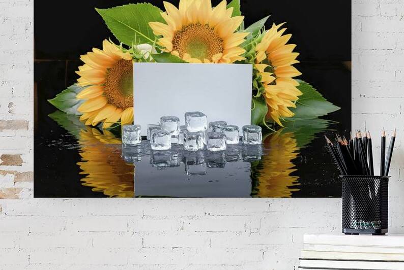 A striking composition of a pristine white card s by Mariana Tirca