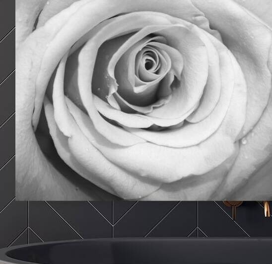 BIG RED Red Rose Macro Abstract X100 1 by Rich Franco