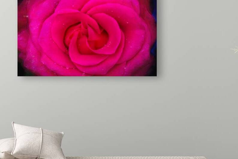 BIG RED Red Rose Macro Abstract X100 2 by Rich Franco