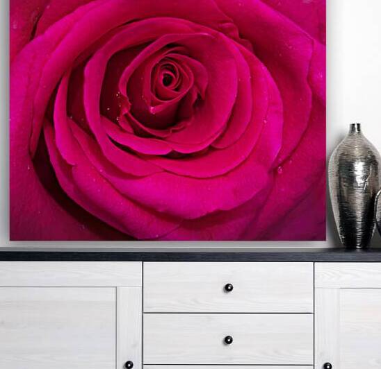 BIG RED Red Rose Macro Abstract X100 3 by Rich Franco