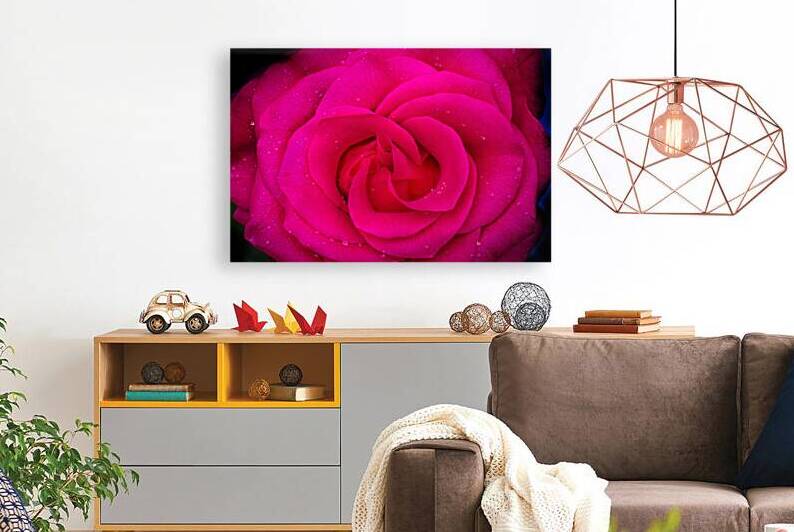 BIG RED Red Rose Macro Abstract X100 4 by Rich Franco