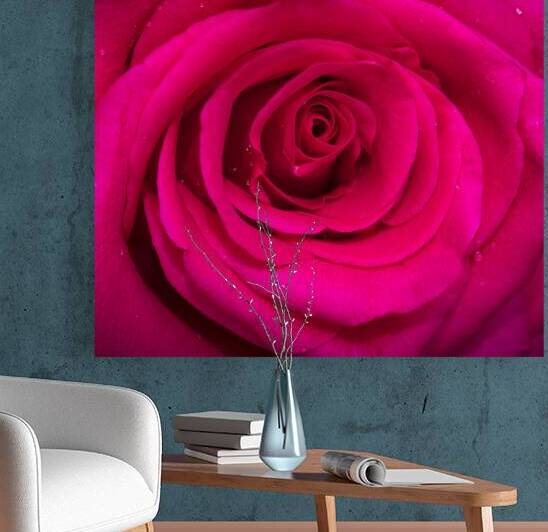 BIG RED Red Rose Macro Abstract X100 6 by Rich Franco