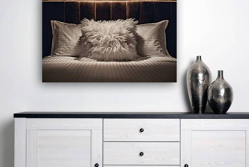 A luxurious hotel room with a plush and inviting by Mitica Mihaila