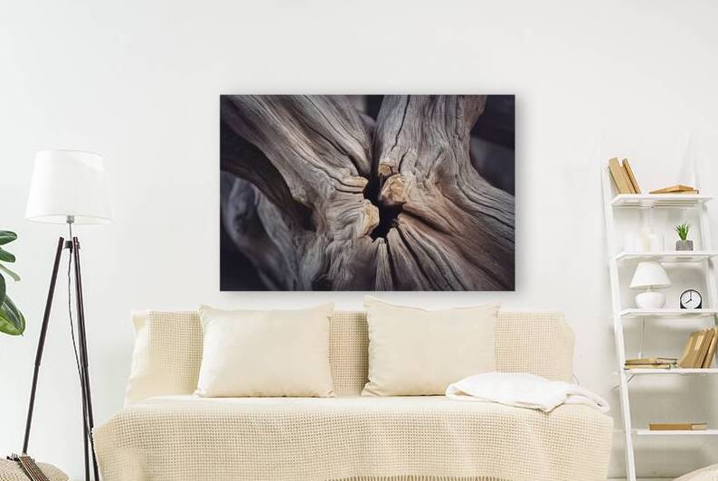 Beautiful wooden fracture old oak natural texture 1723015141.1958 by Marius Tomus