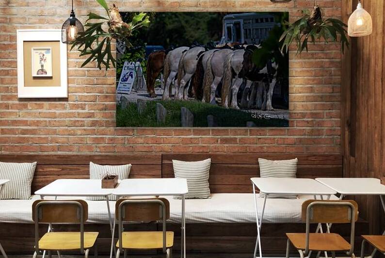 BZ9 8106 Enhanced NR by Susan Lynn Cooke