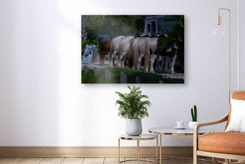 BZ9 8106 Enhanced NR by Susan Lynn Cooke