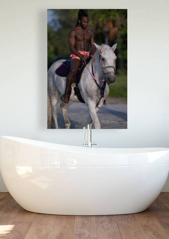 BZ9 8384 by Susan Lynn Cooke