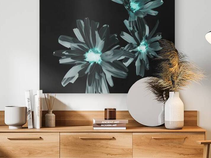 Abstract Glowing Daises on a Dark Background by Catriona Roberts Nature Photography and Designs