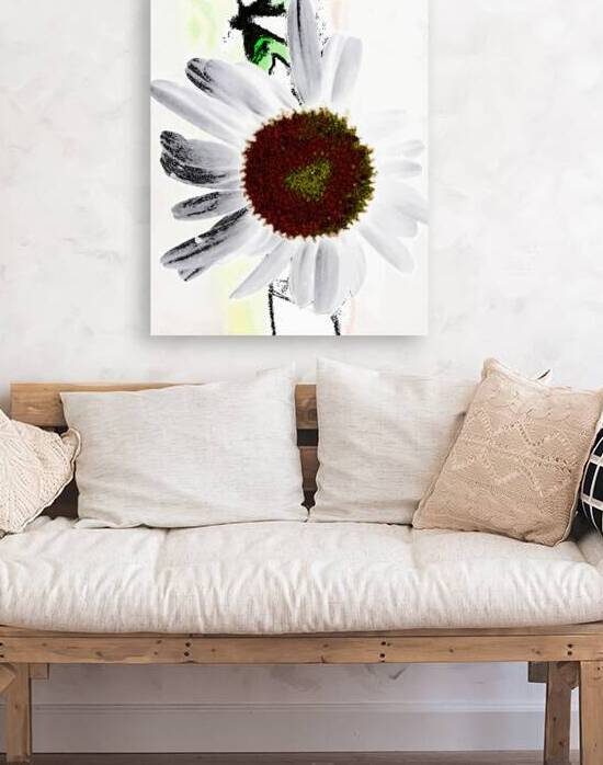  Abstract Textured Daisy  by Catriona Roberts Nature Photography and Designs