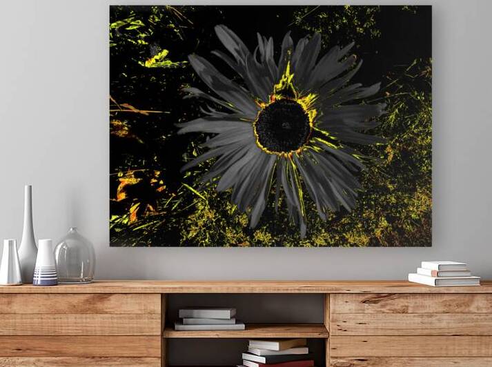 Abstract Dark Daisy by Catriona Roberts Nature Photography and Designs