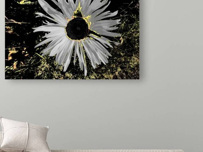 Abstract Daisy on a Mottled Green Background  by Catriona Roberts Nature Photography and Designs