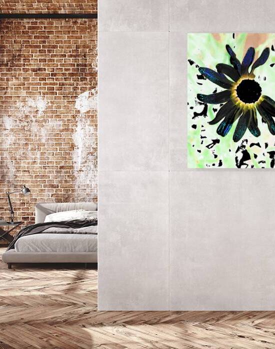 Abstract Black Daisy by Catriona Roberts Nature Photography and Designs