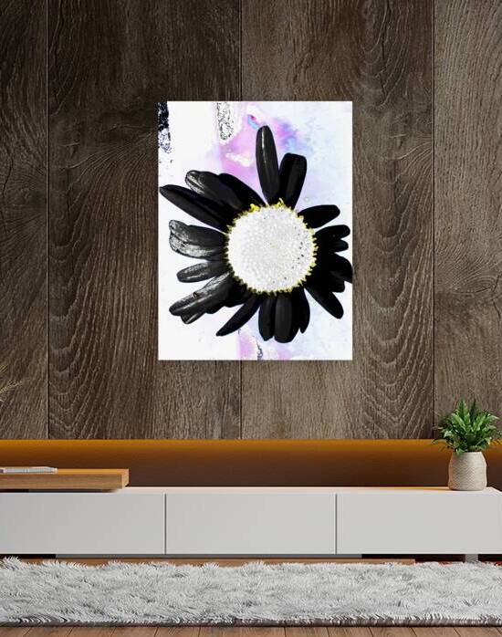 Abstract Daisy with Black Petals  by Catriona Roberts Nature Photography and Designs