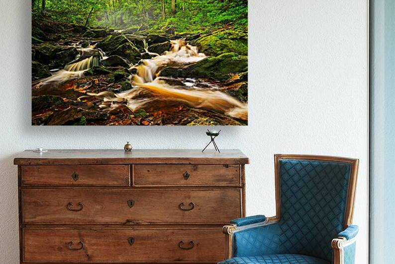 Nantahala River Headwaters by Andy Crawford