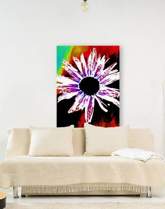Abstract Daisy Black Centre by Catriona Roberts Nature Photography and Designs