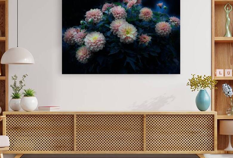 Glorious Pink Dahlias by Joan Han