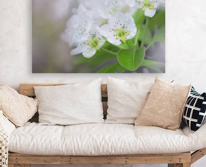 Pear Blossoms I by Joan Han