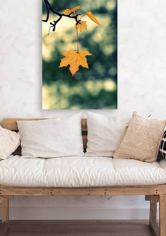 Golden Leaves  by Joan Han