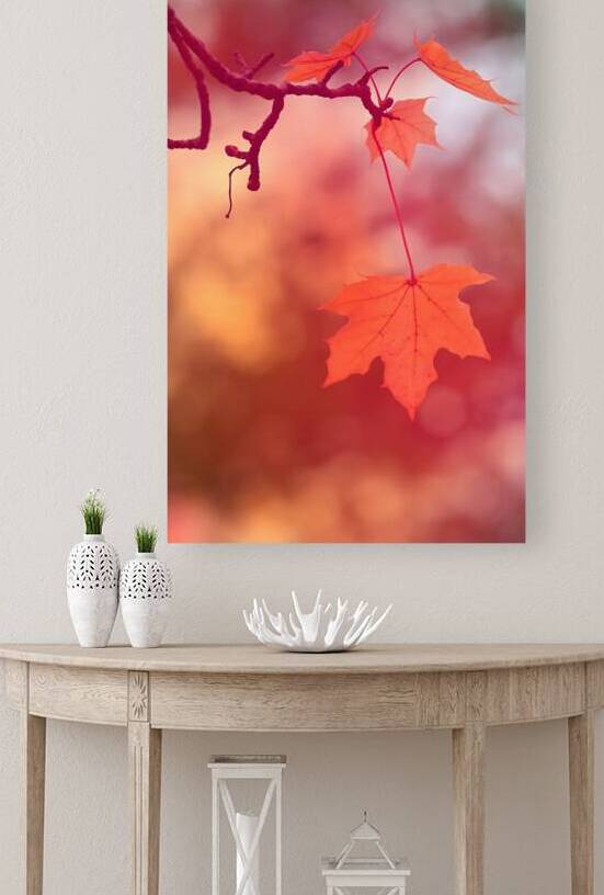 Golden Leaves I by Joan Han