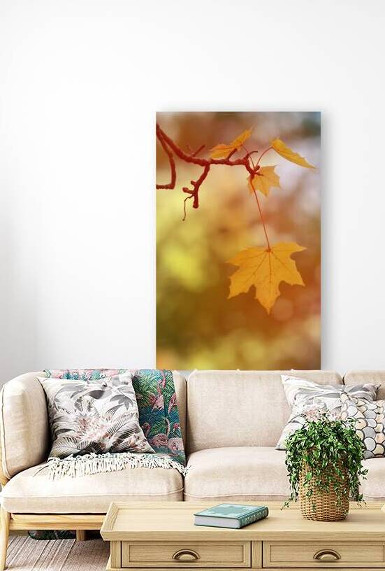 Golden Leaves II by Joan Han