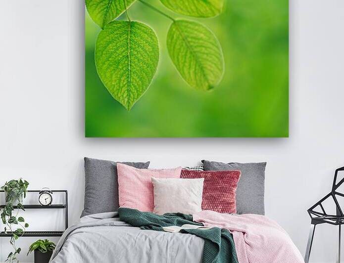 Pear Leaves by Joan Han