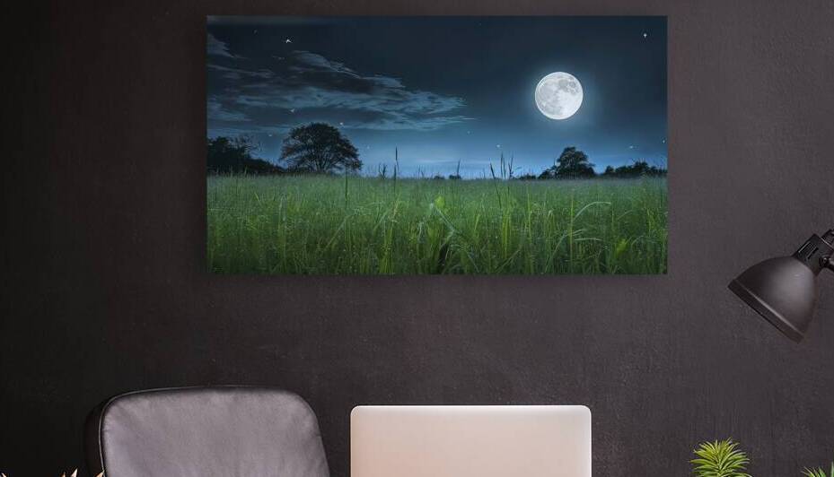 Night landscape in meadow with full moon and star by Anghel Viorel