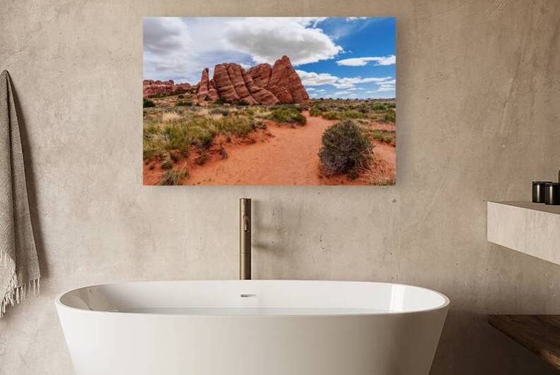 Path To Sand Dune Arch Mountain by Jennifer White