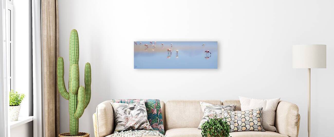 Flamands Bolivie by Claire Poulin