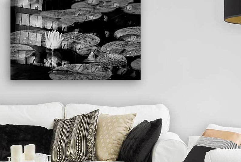 Lilly in the Morning II by Images By Jon Evan