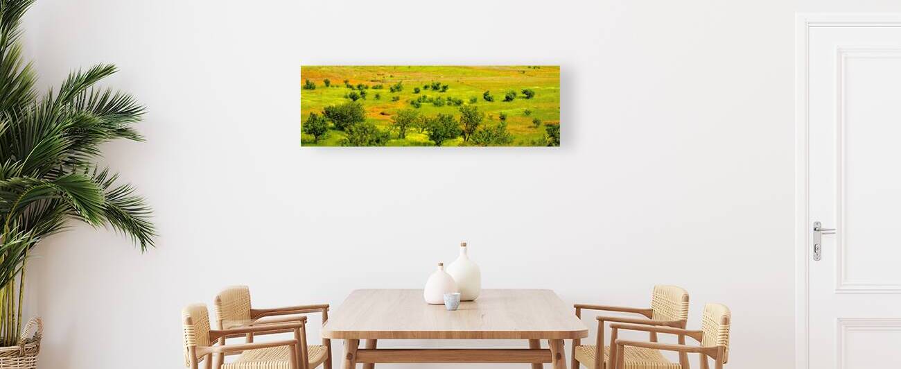 Printemps marocain by Claire Poulin