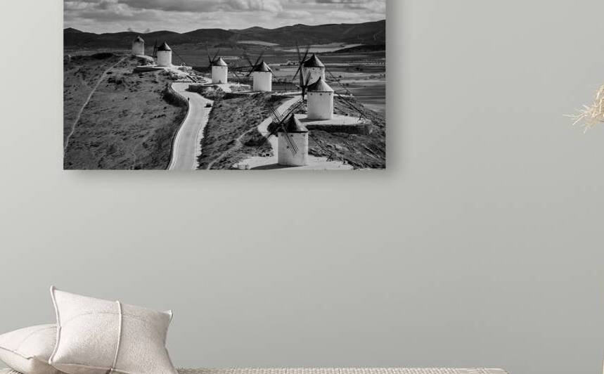 Catching the Wind by Malcolm Cutchin Photography