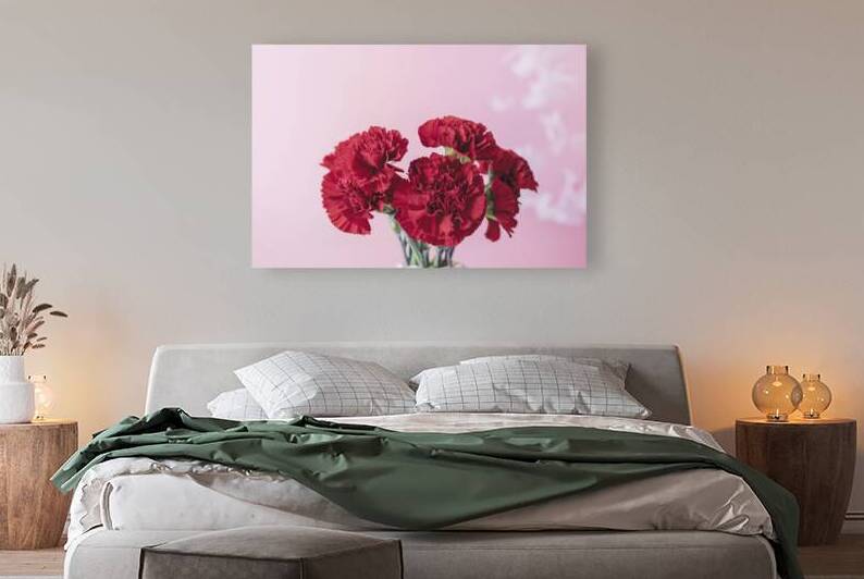 Red carnations on pink background 4 by Violeta Popescu