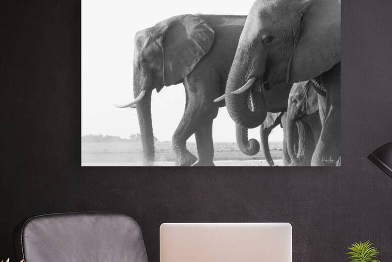 Dusty Dinner by Rob Allen Photography