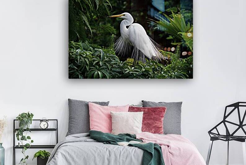 Great White Egret by Shelia Hunt Photography