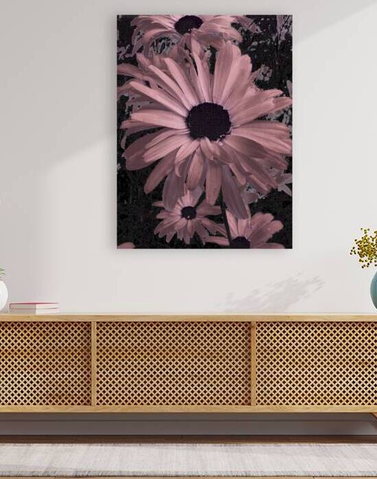 Abstract Reddy Pink Daisy Flowers by Catriona Roberts Nature Photography and Designs