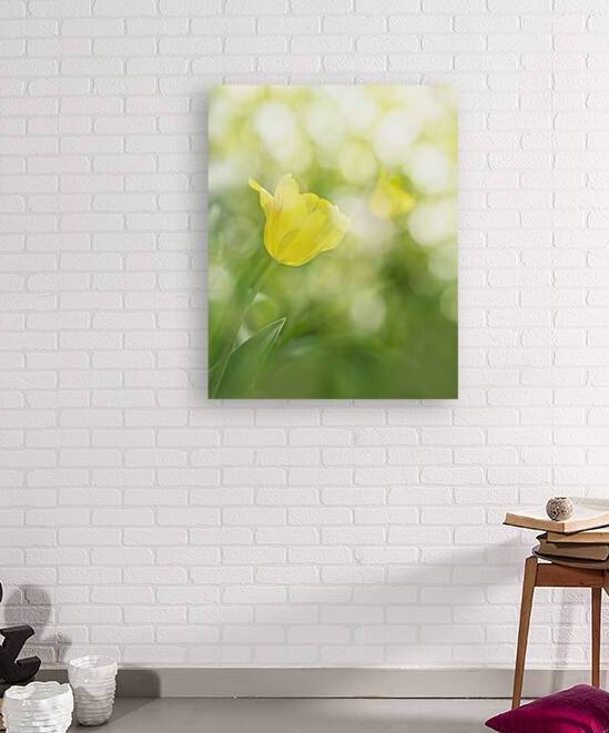 Yellow Tulips II by Joan Han