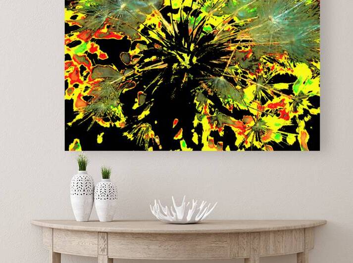 Bright Abstract Dandelion Clock by Catriona Roberts Nature Photography and Designs