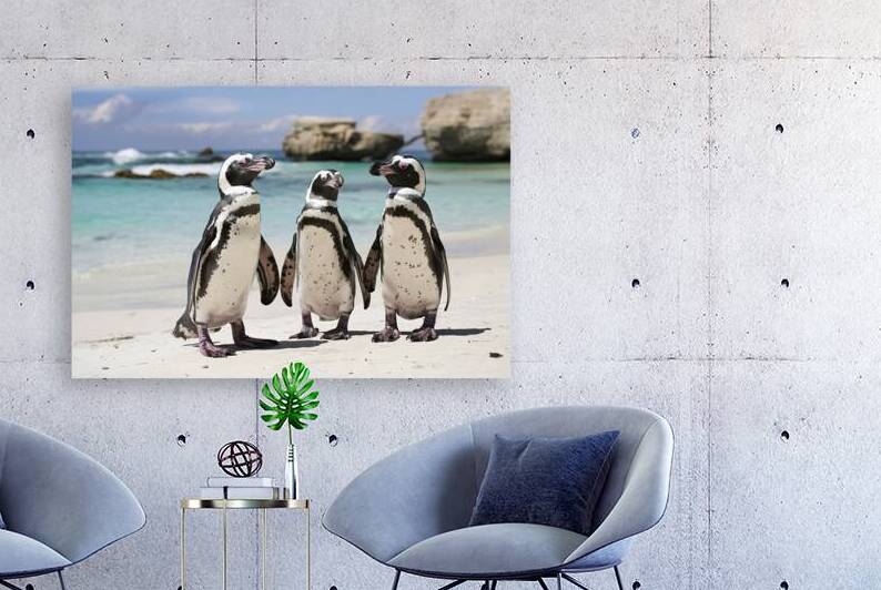 African penguins on a beach by Valentin Catargiu