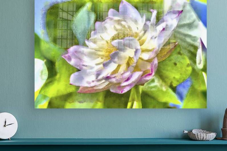 Lilly7 by Images By Jon Evan