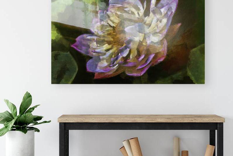 Lilly6 by Images By Jon Evan