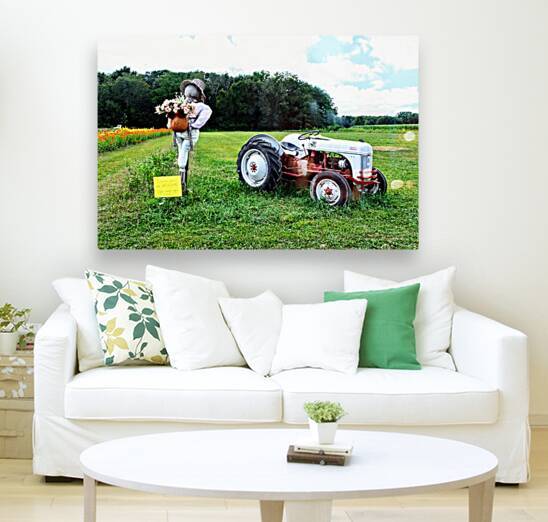 Tractor and Scarecrow: Whimsy on the Windrows by Click4Pix