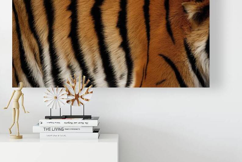 A stunning close up photograph of a tiger s fur 2 by Dumitru Veres