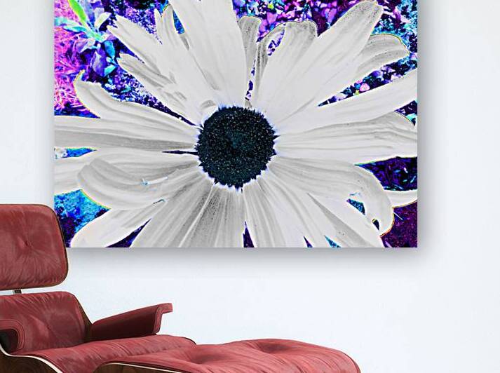 Abstract Vibrant Contrasting Daisy by Catriona Roberts Nature Photography and Designs