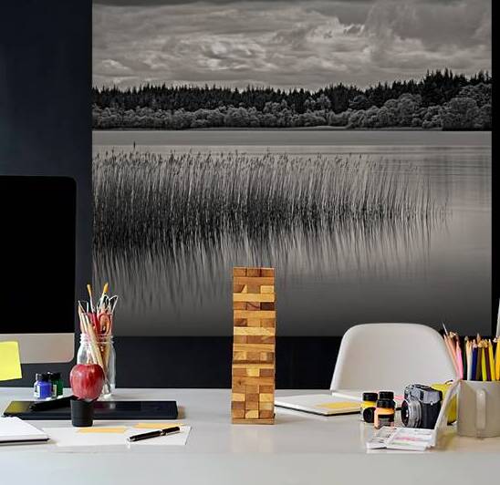 Lake of Menteith by Dave Bowman