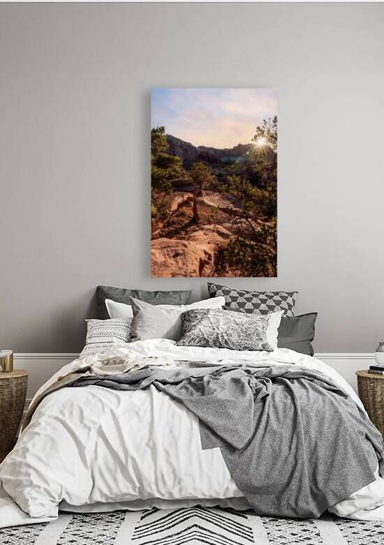 Capitol Reef Cedar Sunrays Sunrise Vertical by Jennifer White