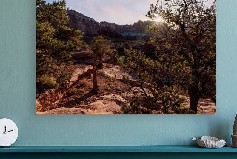 Capitol Reef Cedar Sunrays Sunrise by Jennifer White