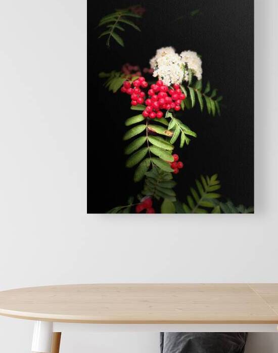  Rowan Berries with Flowers  by Catriona Roberts Nature Photography and Designs
