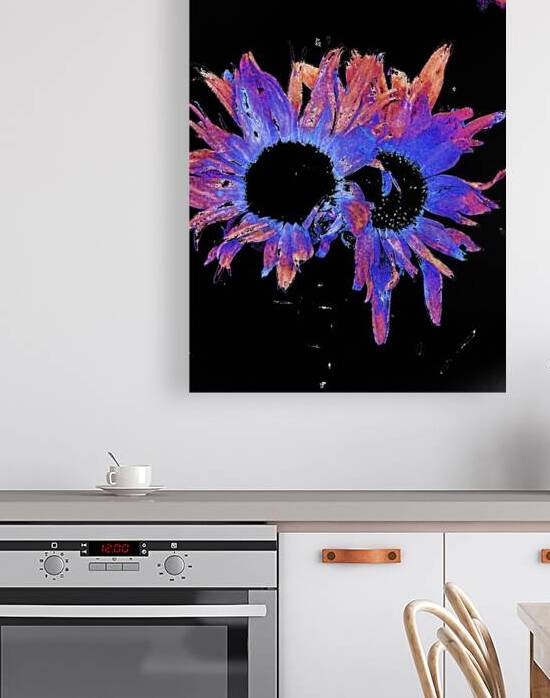 Abstract Daisy Duo in Blue and Orange  by Catriona Roberts Nature Photography and Designs